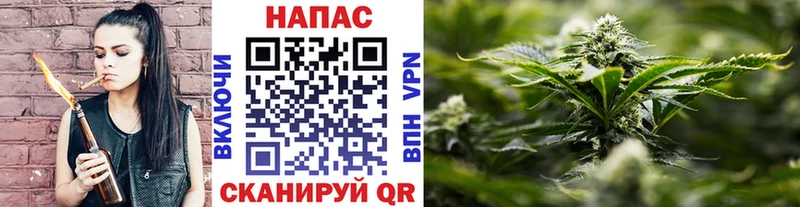 Конопля план  Купить где  Валуйки 